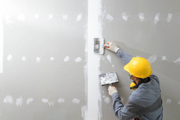 Best Fire-Damaged Drywall Repair  in Thorndale, TX